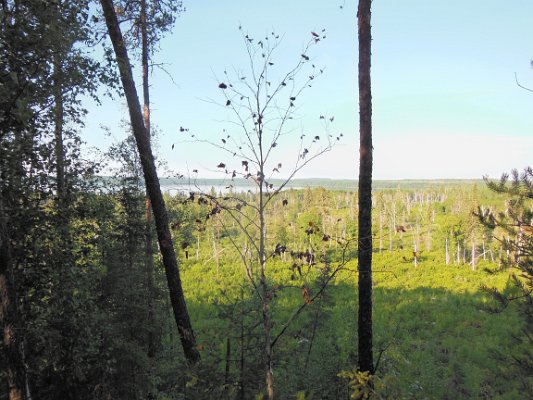 DSCN0794.JPG