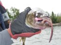 DSCN0858
