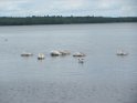 IMG_0001