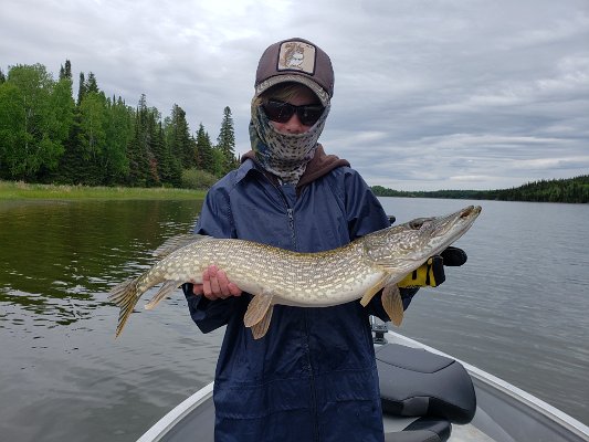 20190617_154643.jpg