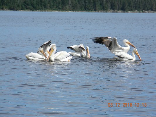 DSCN2346.JPG