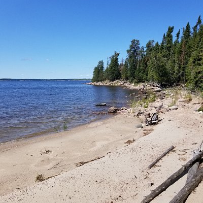 20190730_124811.jpg