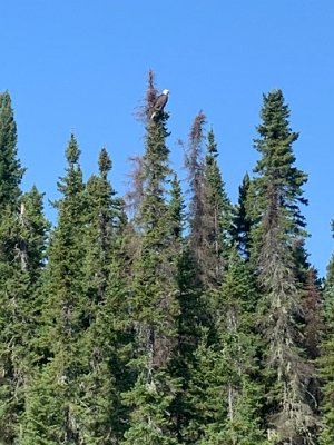 IMG_0025.JPG