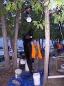 SAM_0441