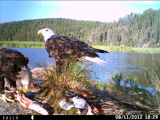HUNT0044.JPG