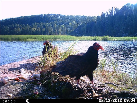 HUNT0091.JPG