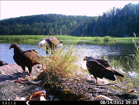 HUNT0141.JPG