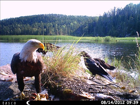 HUNT0147.JPG
