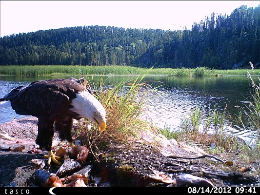 HUNT0151.JPG