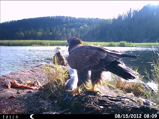 HUNT0349.JPG