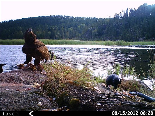 HUNT0365.JPG