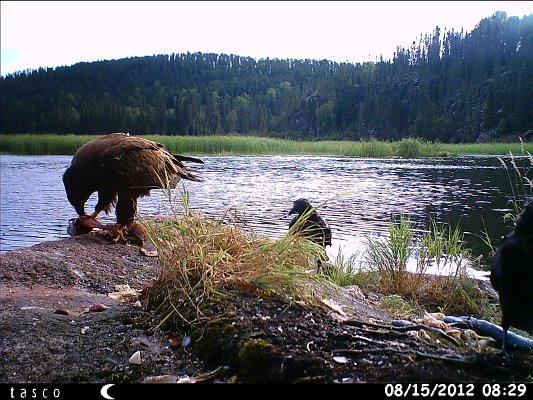 HUNT0366.JPG