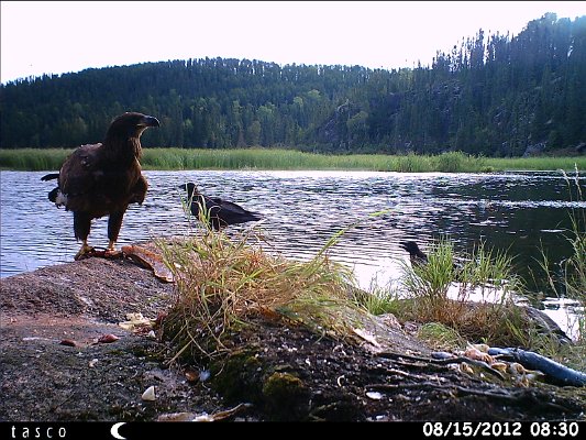 HUNT0367.JPG