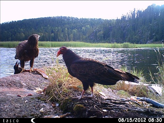HUNT0368.JPG