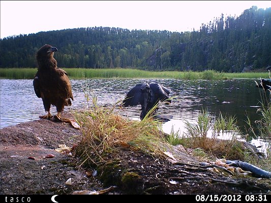 HUNT0370.JPG