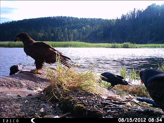 HUNT0374.JPG