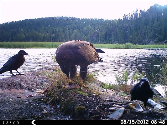 HUNT0384.JPG