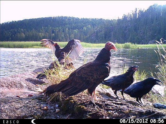 HUNT0398.JPG