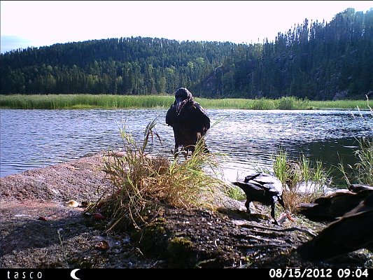 HUNT0418.JPG