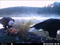 HUNT0072
