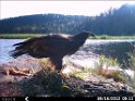 HUNT0352