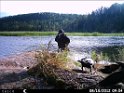 HUNT0418