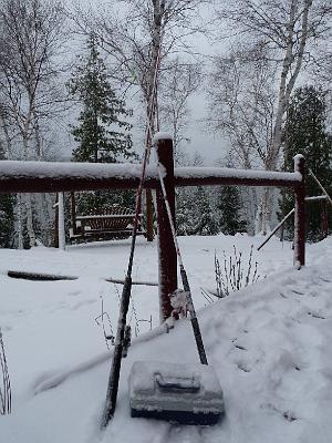 P1010803.JPG