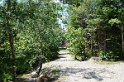 DSC03351