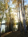 IMG_2426