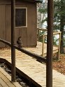 IMG_2512