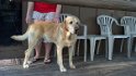 2012-07-09_18-59-14_163