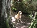 DSC01221