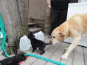 DSC01453