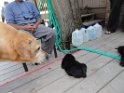 DSC01463