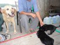 DSC01470