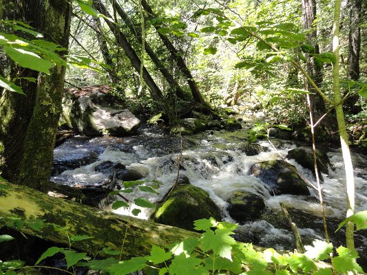 DSC01209.JPG
