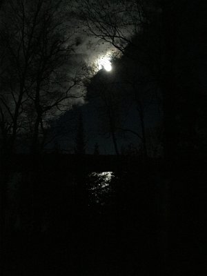 IMG_2507.jpg