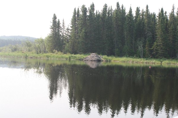 IMG_7402.JPG