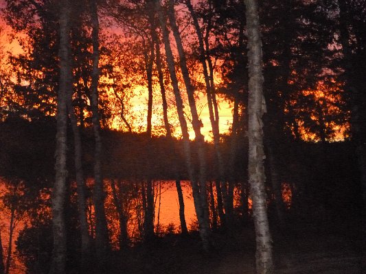P1000376.JPG