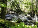 DSC01209
