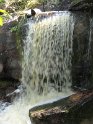 DSC01329