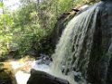 DSC01343