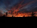 DSCN0271