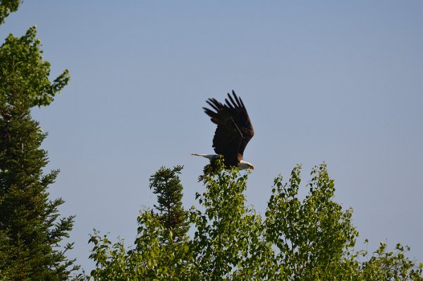 DSC_0240.JPG