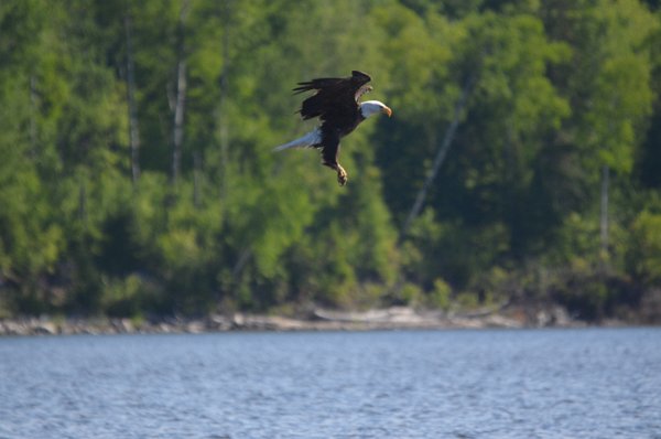 DSC_0241.JPG