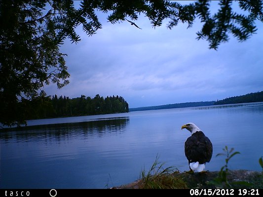 HUNT0536.JPG