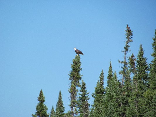 IMG_0124.JPG