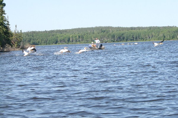 IMG_7555.JPG