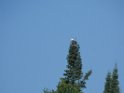 SAM_0022