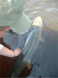 0801northern